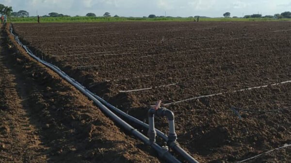 Ingeagro-El-Sombrero-Edo Guarico